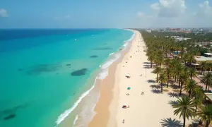 Słoneczna plaża z palmami i turkusowym morzem w Tunezji.