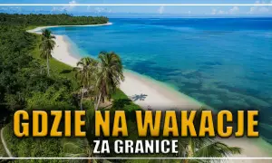 Rajska plaża z palmami i turkusową wodą. Idealne miejsce, gdzie na wakacje w lipcu, by odpocząć od zgiełku.