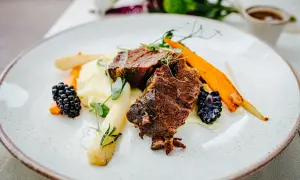 Gdzie zjeść w Kamiennej Górze? Odkryj najlepsze lokale gastronomiczne