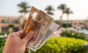 Dłoń trzyma banknoty funta egipskiego. Czy to lepsza opcja niż dolary czy euro na wakacjach w Egipcie?