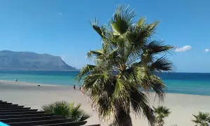 Sycylia, październik. Pogoda idealna na spacer po plaży z palmami w tle i błękitnym morzem.