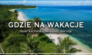 Rajska plaża z palmami i turkusową wodą. Szukasz pomysłu, gdzie tanio na wakacje za granicę?