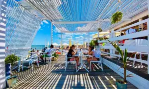 Gdynia Orłowo gdzie zjeść: Najlepsze restauracje z widokiem na morze