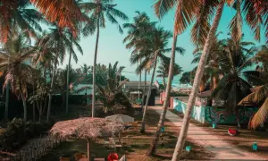 Rajskie widoki na Sri Lance. Palmy, plaża i idealne miejsce na relaks. Wspaniałe Sri Lanka wycieczki czekają!