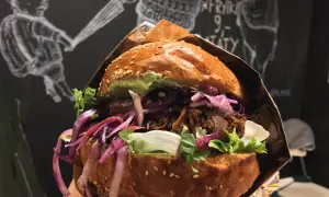 Ogrodzieniec gdzie zjeść: najlepsze restauracje, które musisz poznać
