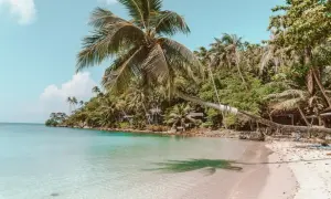 Rajska plaża z palmami i turkusową wodą. Idealne miejsce, by zapomnieć, ile się leci do Tajlandii.