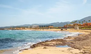Piękna plaża na Krecie z turkusową wodą i budynkami w tle.