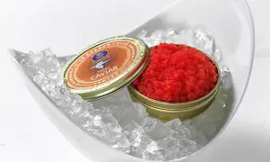 Czerwony kawior tobiko w puszce, podany na lodzie w białej misie.