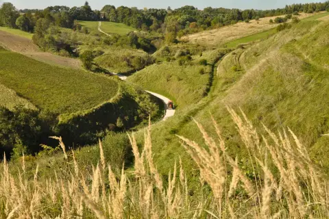 Traktor jedzie krętą drogą przez zielone wzgórza. W oddali widać zarysy dawnego grodziska, porośniętego trawami i drzewami.