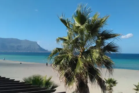 Sycylia, październik. Pogoda idealna na spacer po plaży z palmami w tle i błękitnym morzem.