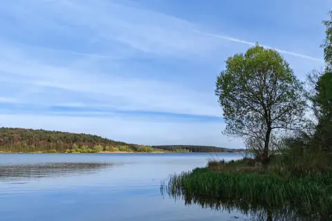 Spokojne **jezioro Chańcza** otoczone lasem, z samotnym drzewem na brzegu i błękitnym niebem z chmurami.
