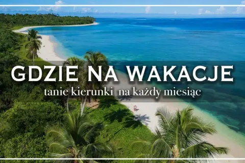 Rajska plaża z palmami i turkusową wodą. Idealne miejsce, by zastanowić się, gdzie jechać na wakacje.