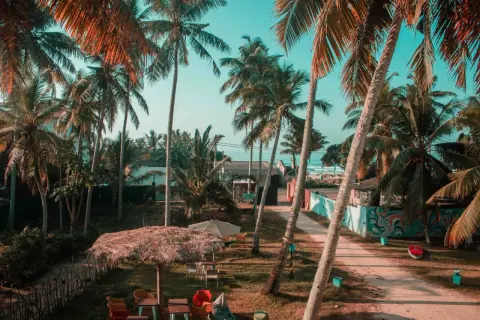 Rajskie widoki na Sri Lance. Palmy, plaża i idealne miejsce na relaks. Wspaniałe Sri Lanka wycieczki czekają!