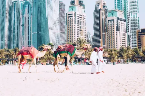 Dwa wielbłądy na plaży w Dubaju, z dwoma mężczyznami w tradycyjnych strojach. Zastanawiasz się, ile się leci do Dubaju?