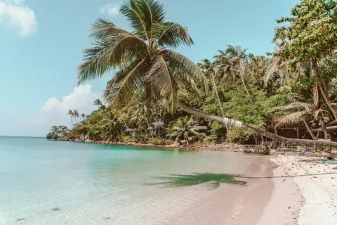 Rajska plaża z palmami i turkusową wodą. Idealne miejsce, by zapomnieć, ile się leci do Tajlandii.