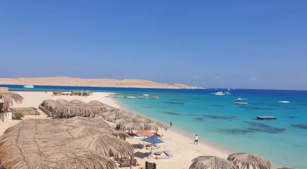 Rajska plaża z palmowymi parasolami i turkusową wodą. Idealne miejsce na relaks i odkrywanie atrakcji Marsa Alam.