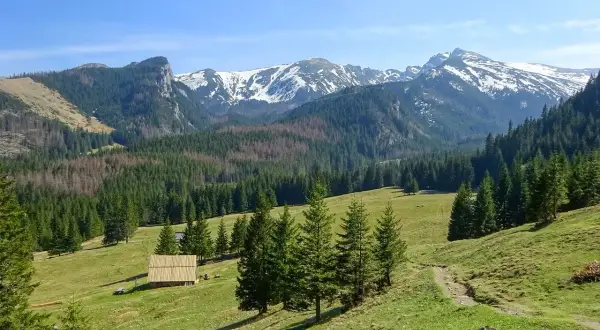 Piękne **zakopane góry** z ośnieżonymi szczytami, zielonymi dolinami i lasami. W oddali widać drewniany szałas.