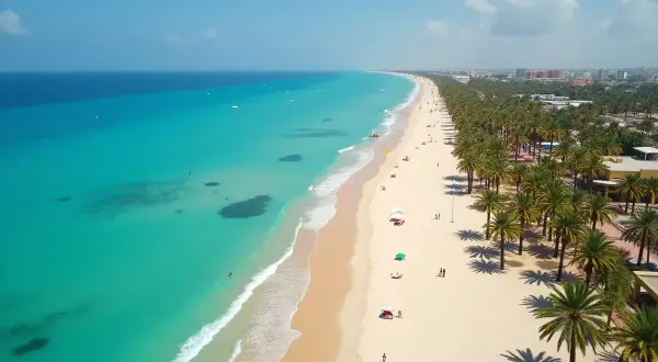 Słoneczna plaża z palmami i turkusowym morzem w Tunezji.