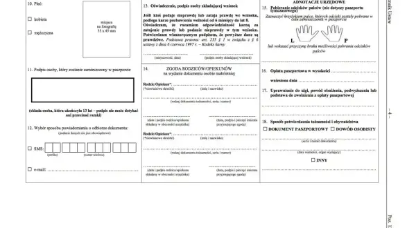 Formularz paszportowy: dane osobowe, zgoda rodziców, opłata, potwierdzenie tożsamości. To, co potrzeba do wyrobienia paszportu.