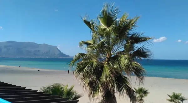 Sycylia, październik. Pogoda idealna na spacer po plaży z palmami w tle i błękitnym morzem.