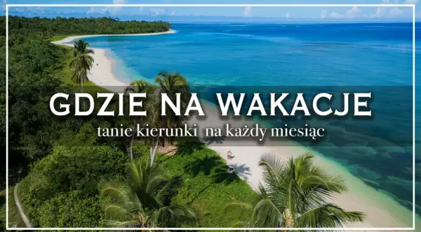 Rajska plaża z palmami i turkusową wodą. Szukasz pomysłu, gdzie tanio na wakacje za granicę?