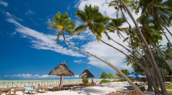 Rajska plaża na Zanzibarze z palmami i leżakami. Zastanawiasz się, ile się leci na Zanzibar? To podróż marzeń!