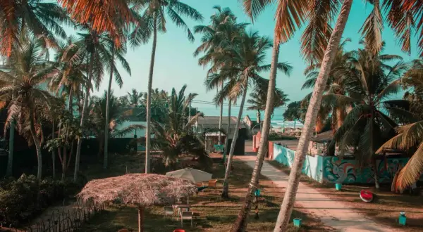 Rajskie widoki na Sri Lance. Palmy, plaża i idealne miejsce na relaks. Wspaniałe Sri Lanka wycieczki czekają!
