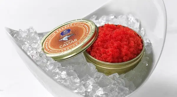 Czerwony kawior tobiko w puszce, podany na lodzie w białej misie.
