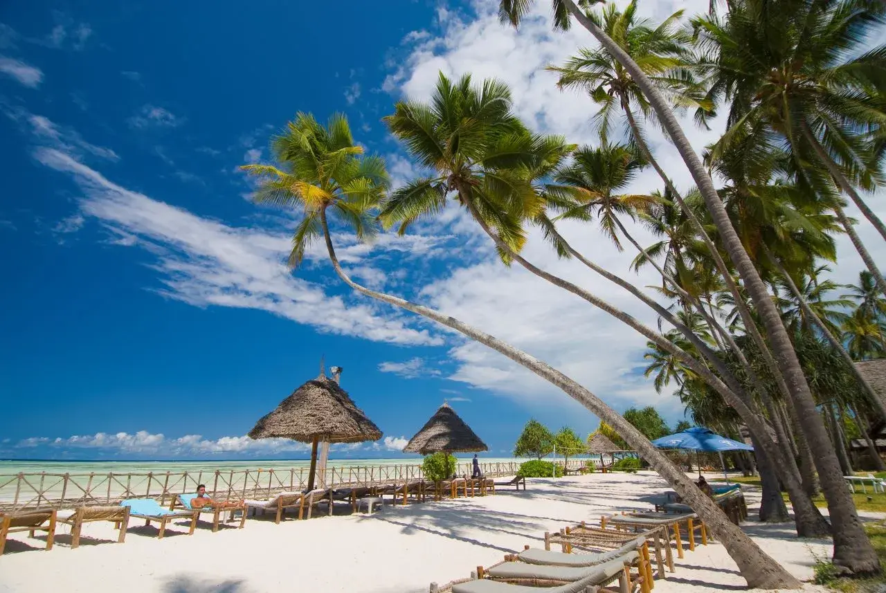 Rajska plaża na Zanzibarze z palmami i leżakami. Zastanawiasz się, ile się leci na Zanzibar? To podróż marzeń!