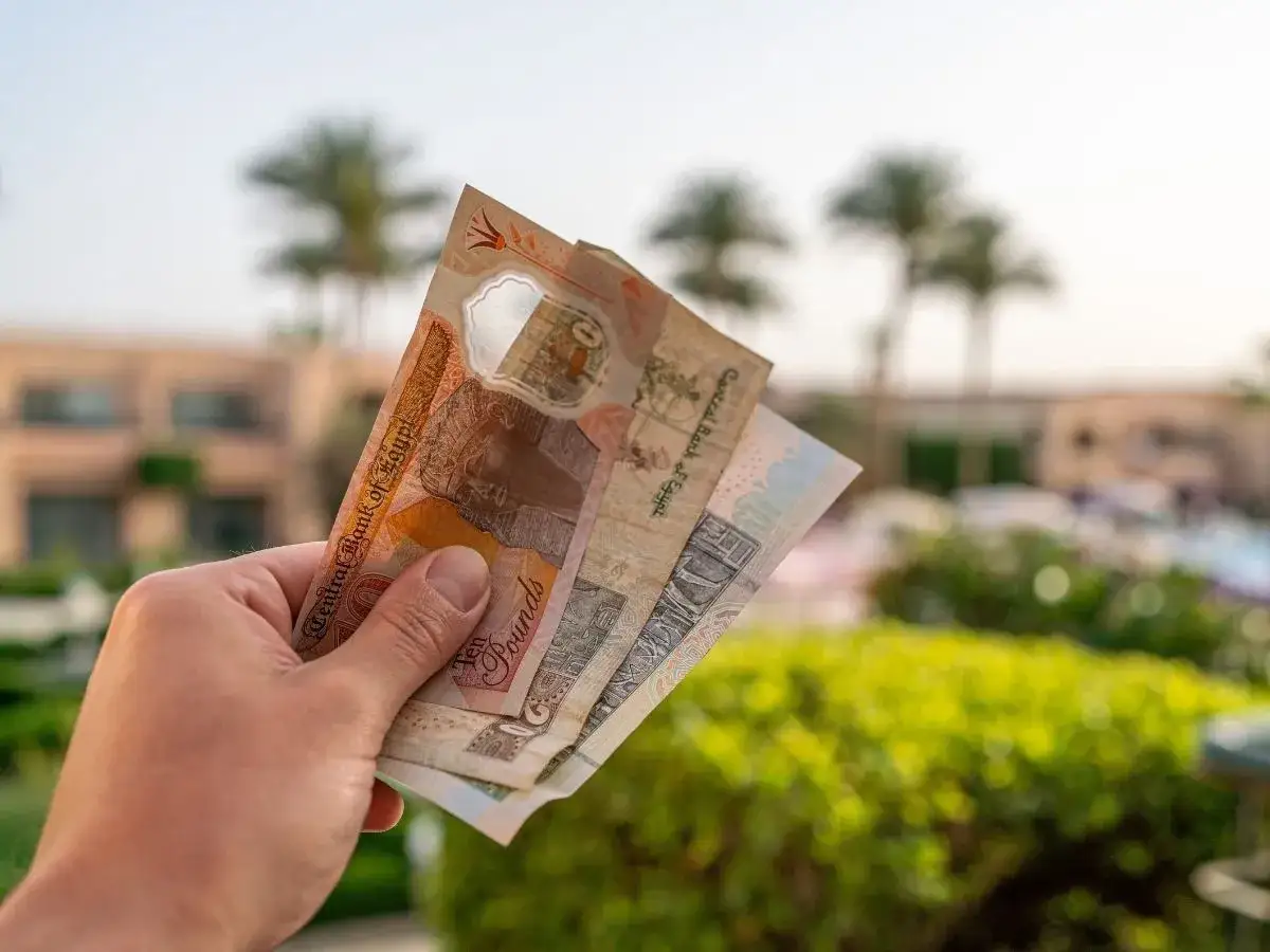 Dłoń trzyma banknoty funtów egipskich. Czy to najlepsza waluta na wakacje w Egipcie, czy może dolary lub euro?