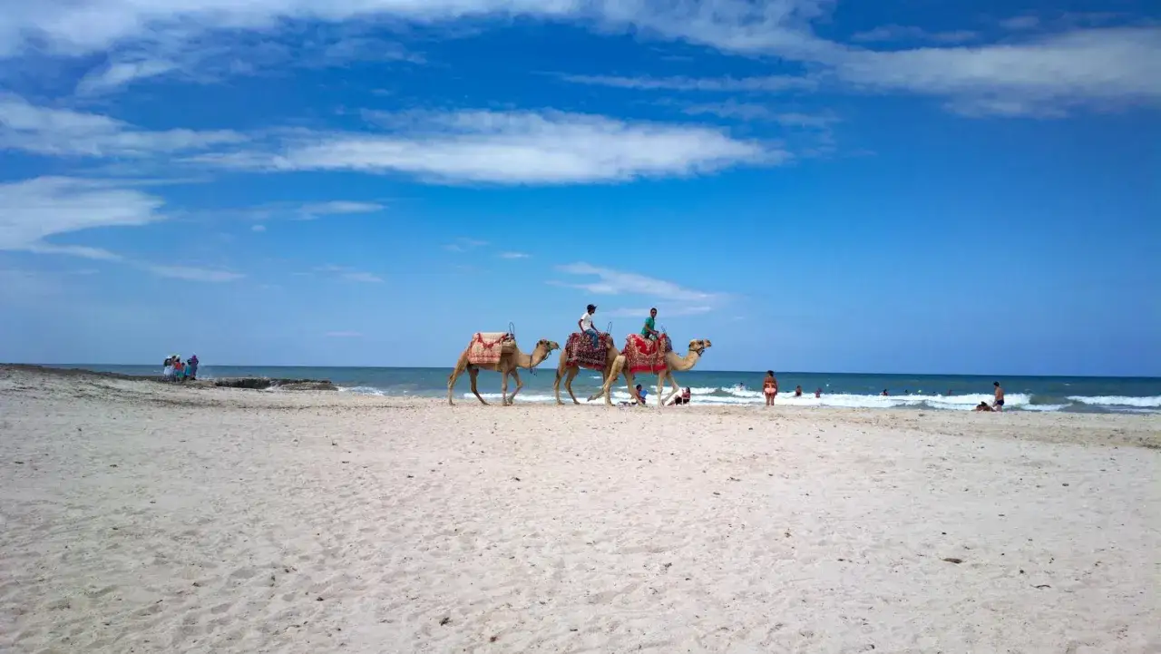 Djerba pogoda kwiecień: ludzie spacerują po plaży, a wielbłądy oferują przejażdżki. Błękitne niebo i morze.