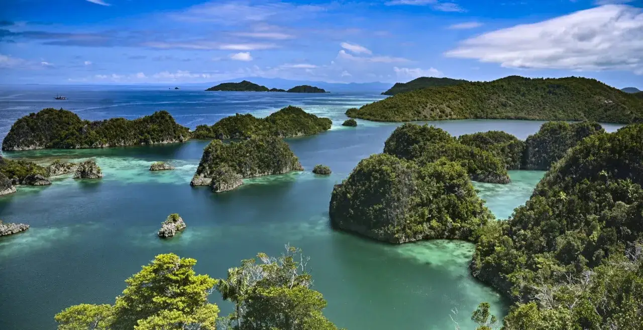 Rajskie krajobrazy Raja Ampat: turkusowe wody, bujna zieleń i skaliste wysepki tworzą idylliczny widok.