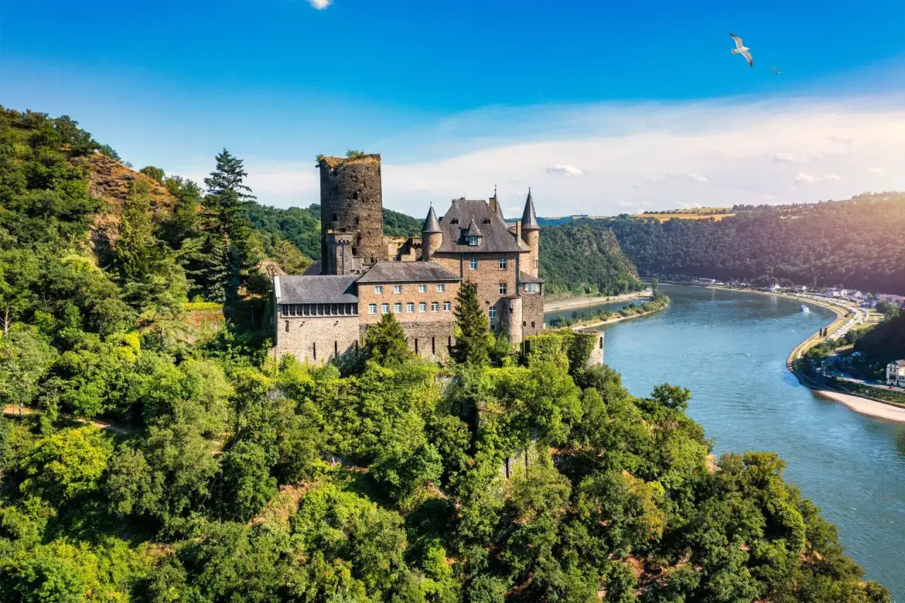 Zamek na wzgórzu nad meandrującą rzeką Ren. W oddali widać miasteczko i wzgórza.