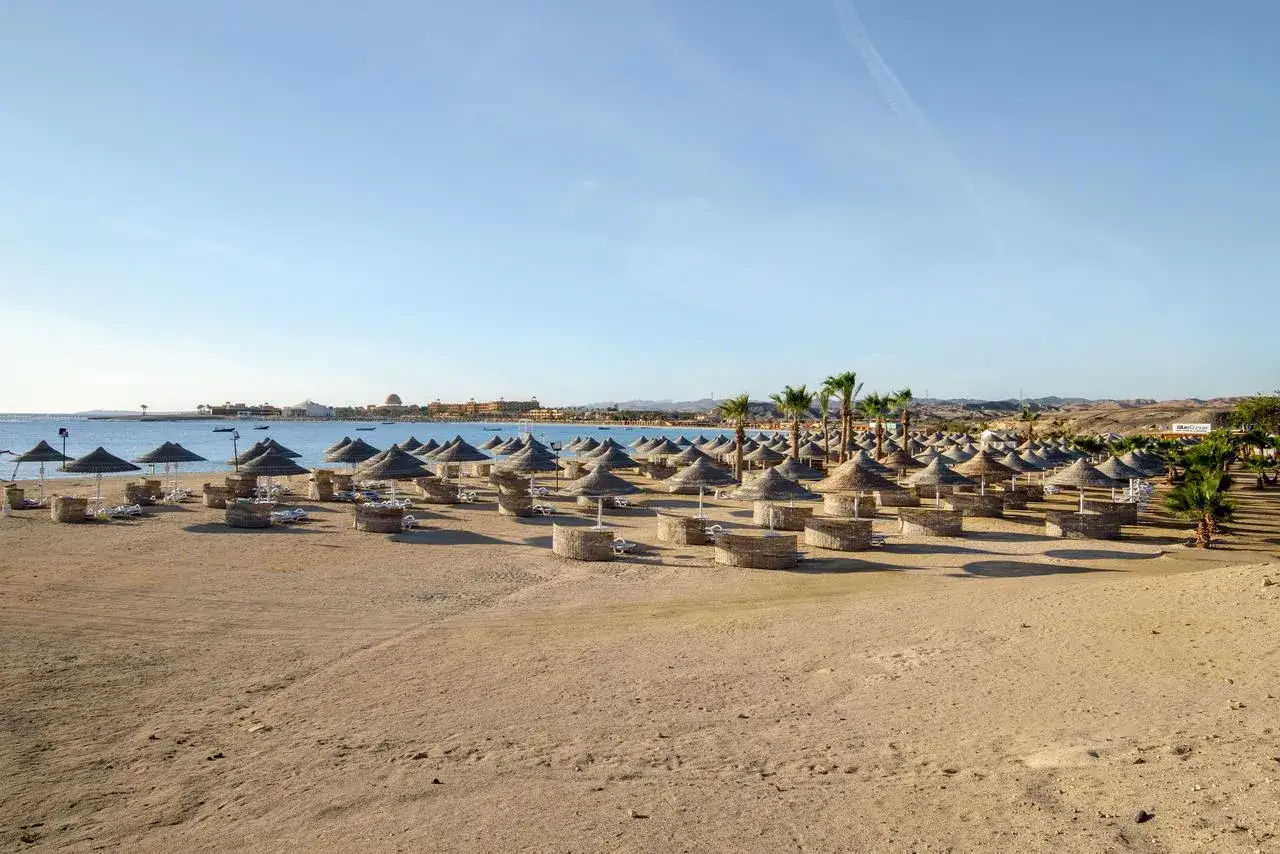Plaża z rzędami parasoli i leżaków. W tle widać morze i zabudowania hotelowe, które mogą być częścią Hilton Marsa Alam Nubian Resort.