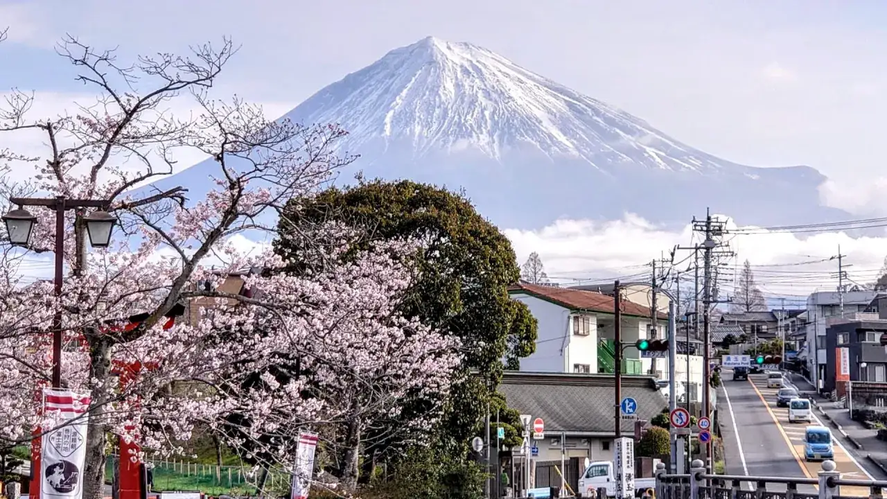 Kwiaty wiśni i góra Fudżi – idealny widok podczas wycieczki do Japonii.