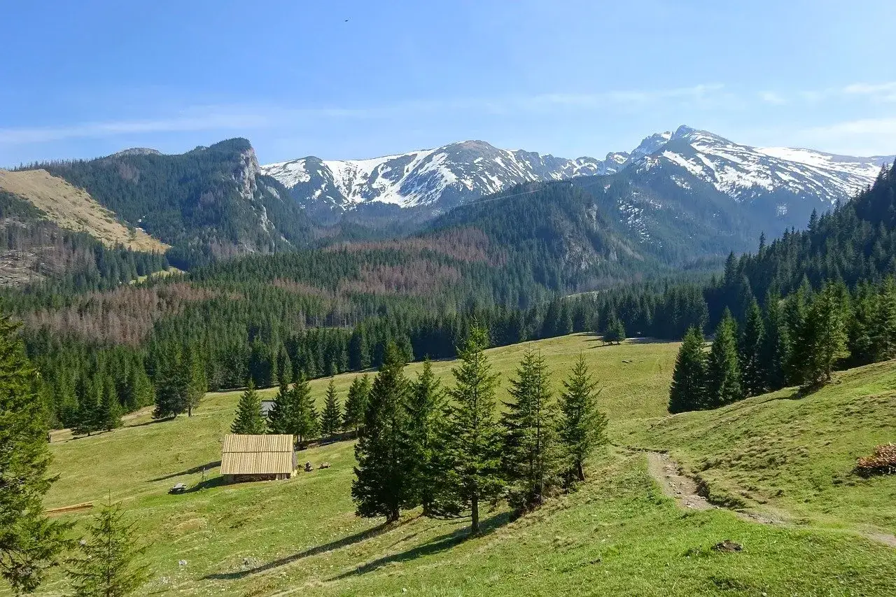 Piękne zakopane góry z ośnieżonymi szczytami, zielonymi halami i lasem świerkowym. W dole drewniana chata.