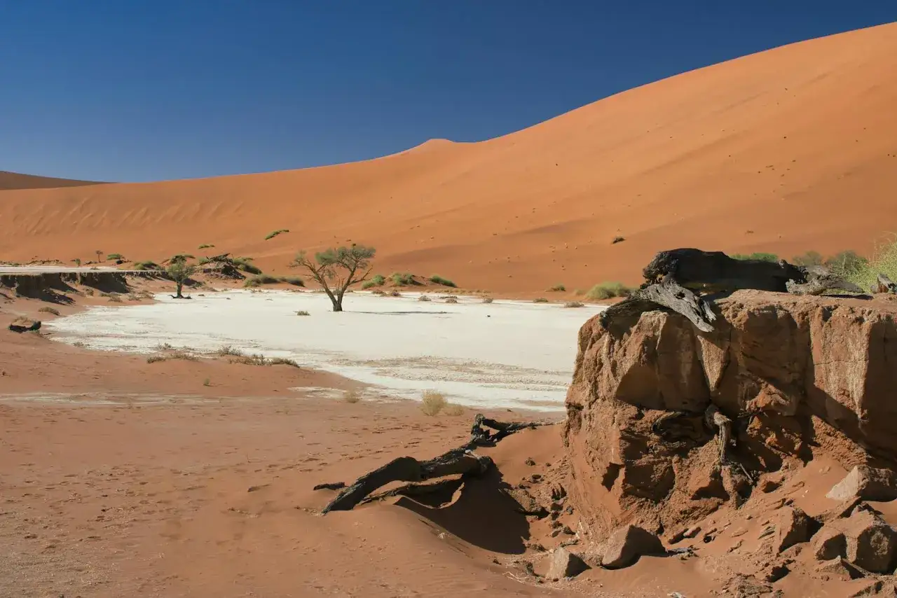 Pustynia Namib, biała wyschnięta dolina z uschniętymi drzewami i ogromną pomarańczową wydmą w tle. Niezapomniana namibia wycieczka.