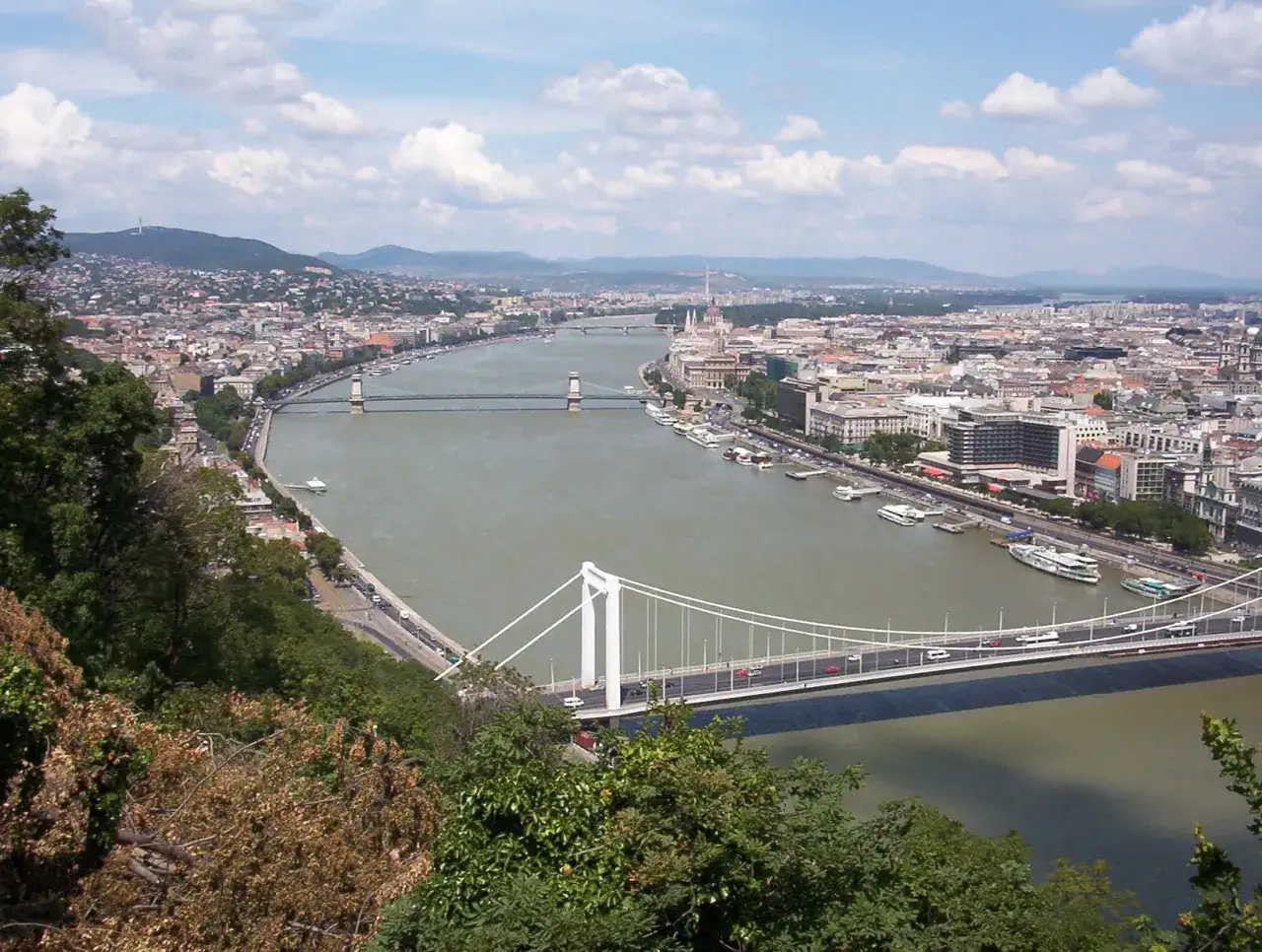 Widok na Budapeszt i rzekę Dunaj z mostami, w tym Most Wolności.