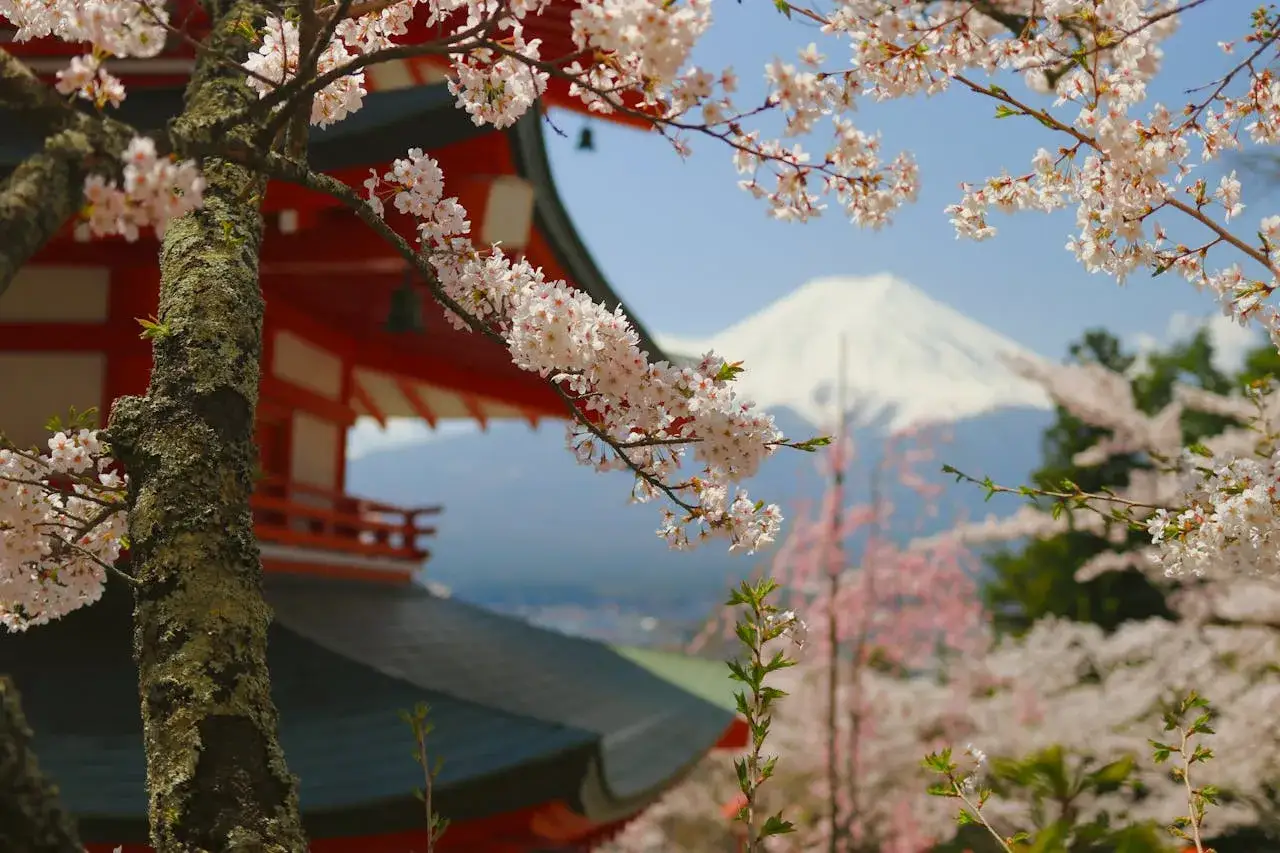 Kwiaty wiśni i pagoda na tle góry Fudżi. Idealne miejsce na wycieczkę do Japonii.
