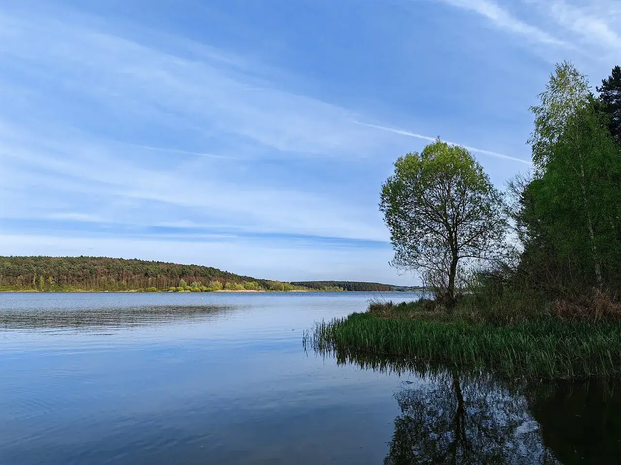 Spokojne jezioro Chańcza odbija błękitne niebo z chmurami. Na brzegu rośnie samotne drzewo.