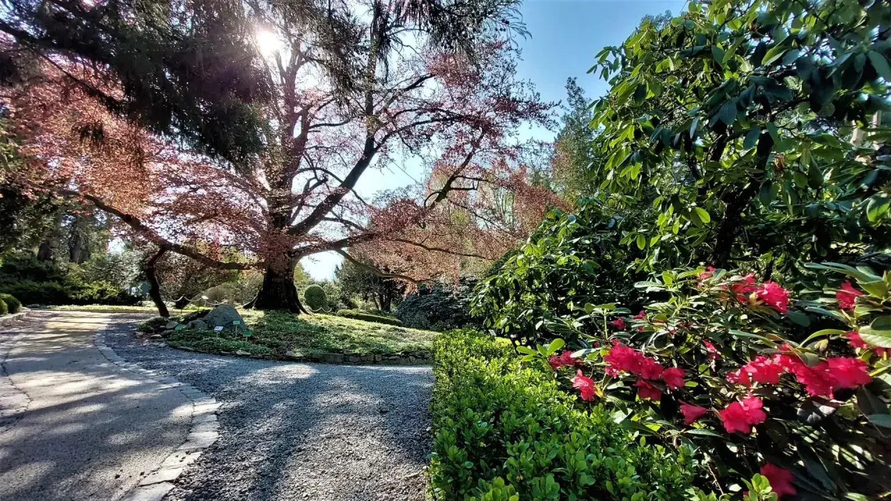 Zdjęcie Kiedy jechać do arboretum Wojsławice, aby zobaczyć najpiękniejsze kwiaty?