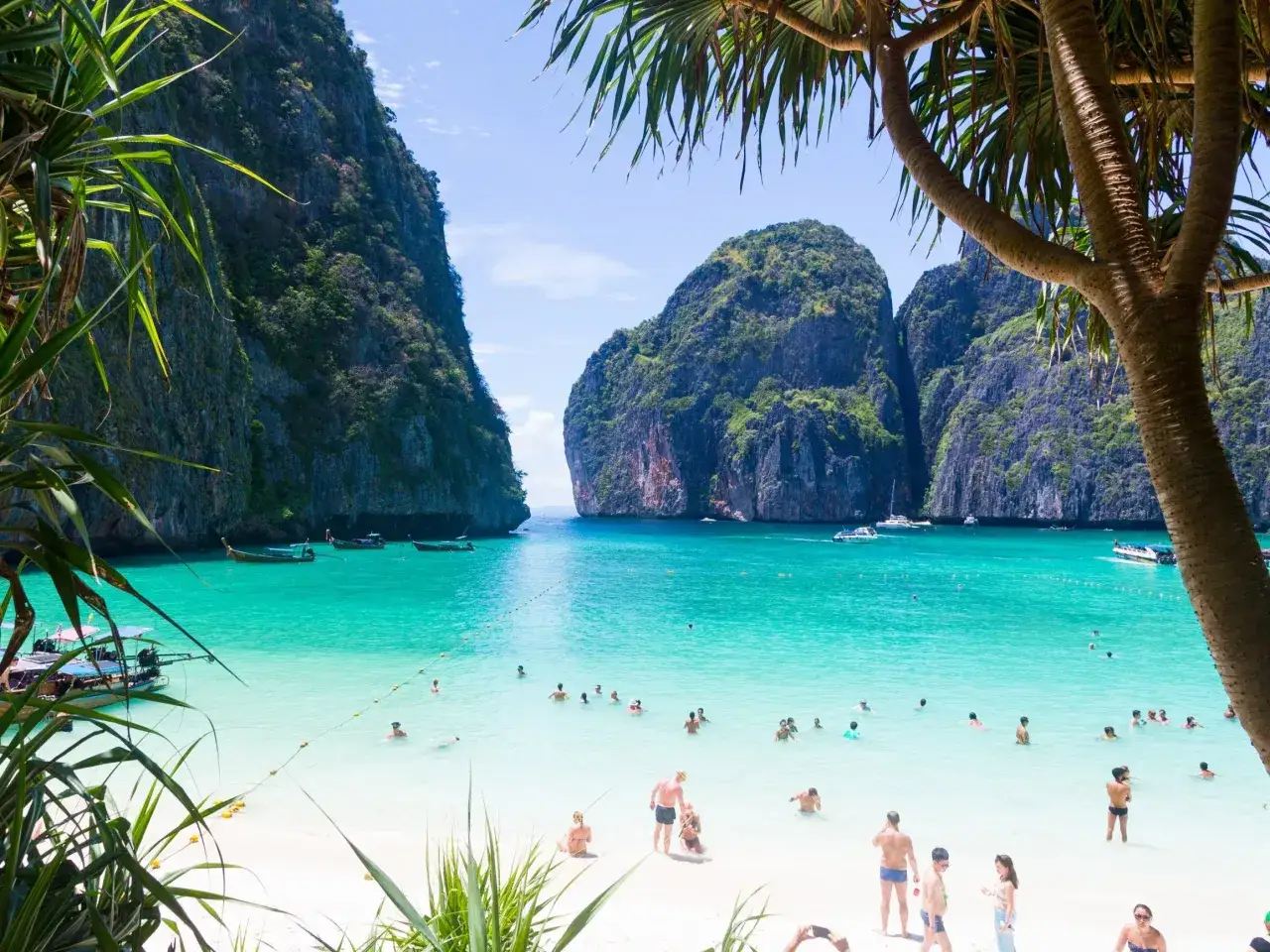 Rajska plaża Maya Bay z turkusową wodą, łodziami i turystami kąpiącymi się w morzu.