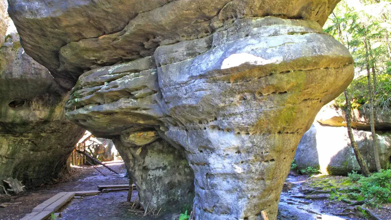 Gigantyczne, omszałe błędne skały tworzą naturalne przejście. W skałach widoczne są liczne zagłębienia i szczeliny.