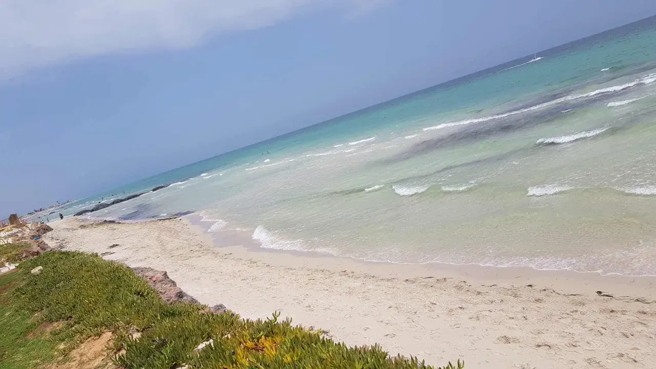 Piękna plaża na Djerbie w kwietniu. Słońce, ciepłe morze i zielona roślinność tworzą idealną pogodę na wypoczynek.