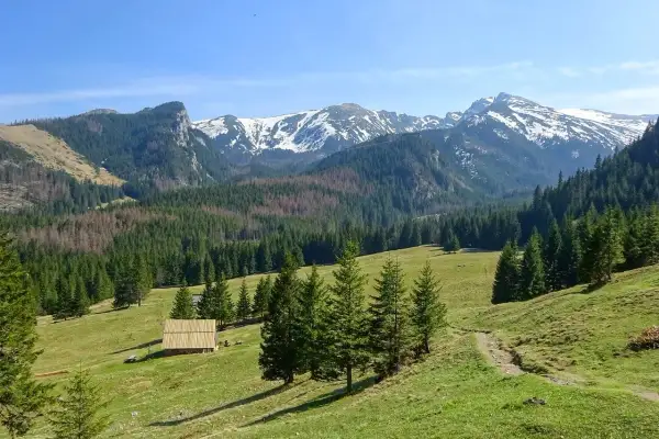 Piękne **zakopane góry** z ośnieżonymi szczytami, zielonymi dolinami i lasami. W oddali widać drewniany szałas.
