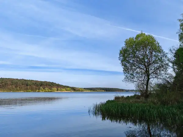 Spokojne **jezioro Chańcza** otoczone lasem, z samotnym drzewem na brzegu i błękitnym niebem z chmurami.