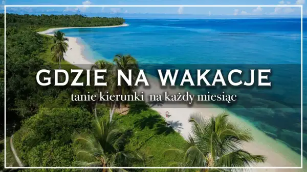Rajska plaża z palmami i turkusową wodą. Idealne miejsce, by zastanowić się, gdzie jechać na wakacje.