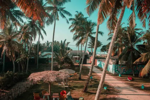 Rajskie widoki na Sri Lance. Palmy, plaża i idealne miejsce na relaks. Wspaniałe Sri Lanka wycieczki czekają!